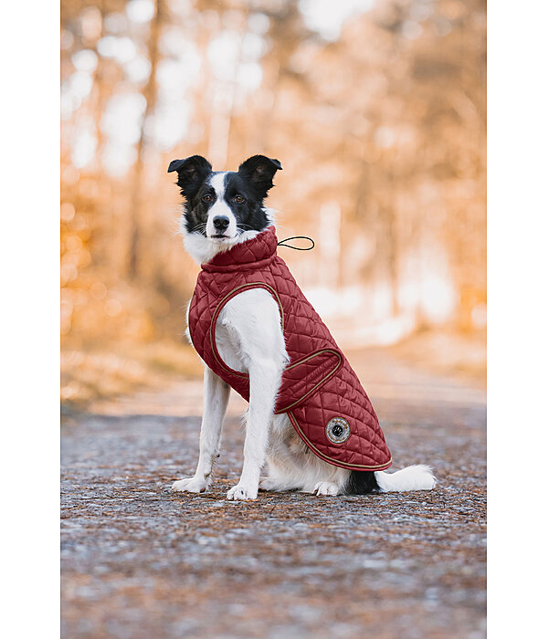 Cappotto per cani Archie con pelliccia sintetica, 160 g