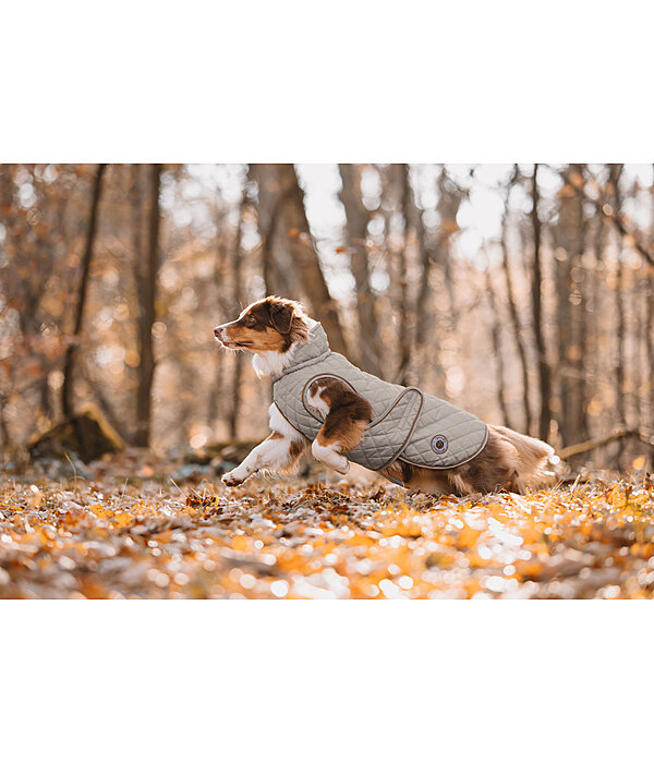 Cappotto per cani Archie con pelliccia, 160 g
