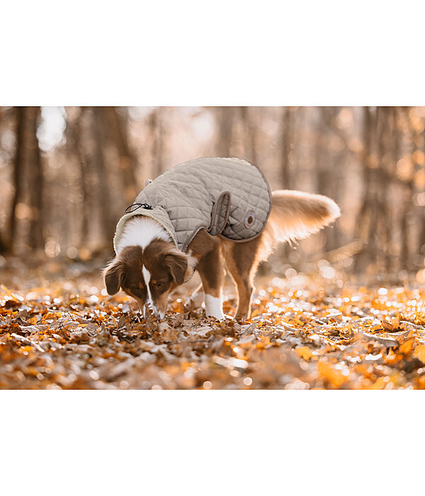 Cappotto per cani Archie con pelliccia, 160 g