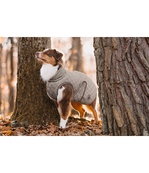 Cappotto per cani Archie con pelliccia, 160 g