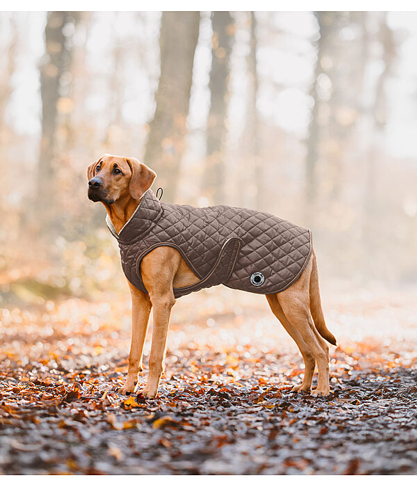 Cappotto per cani Archie con pelliccia, 160 g