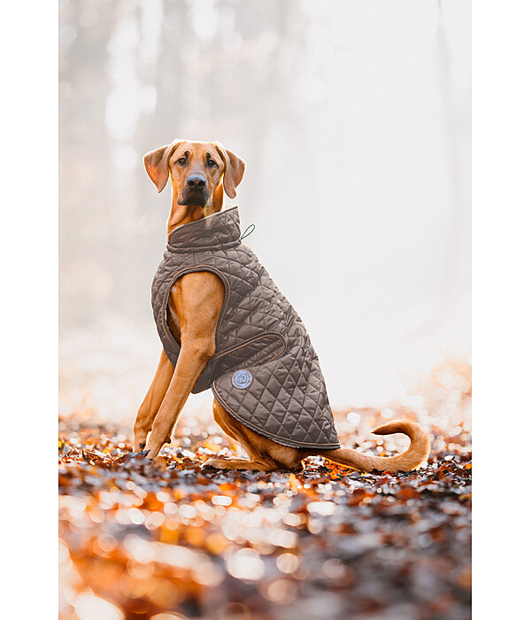 Cappotto per cani Archie con pelliccia, 160 g