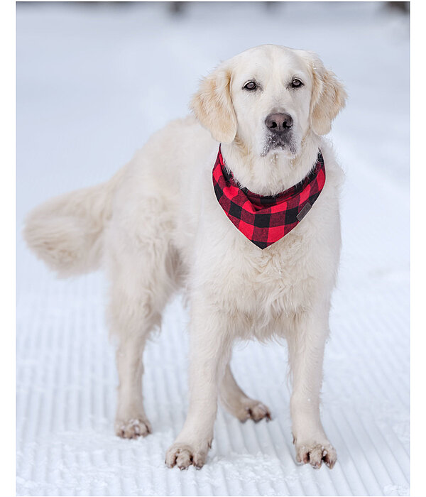 Bandana Henry