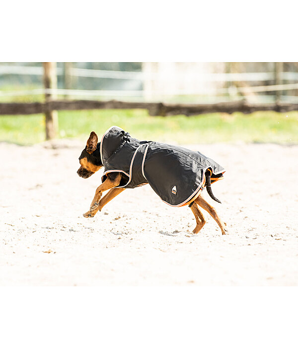 Cappotto per cani Ceramic Rehab