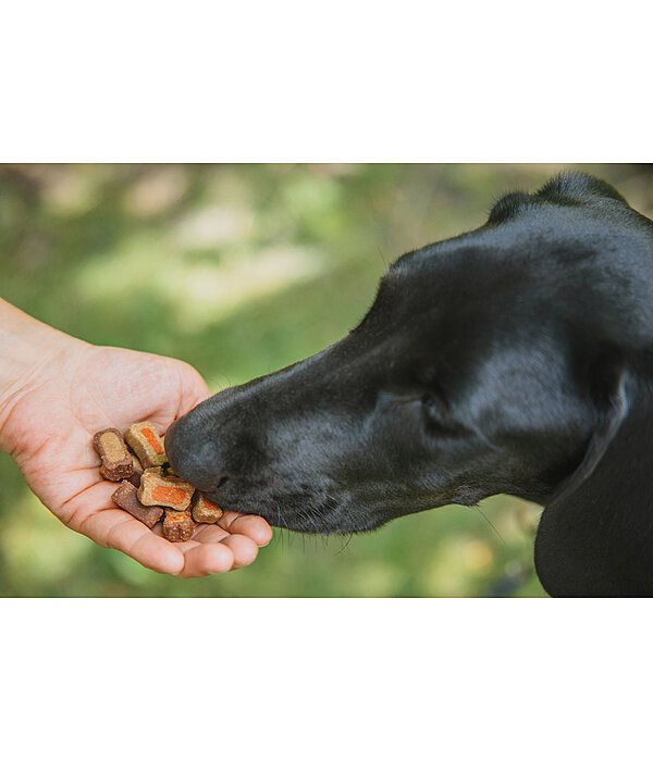 Mix di snack colorati per cani