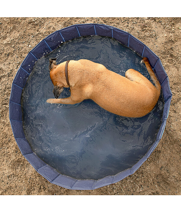 Piscina per cani Kaya