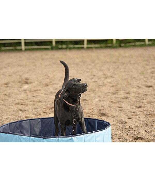 Piscina per cani Kaya