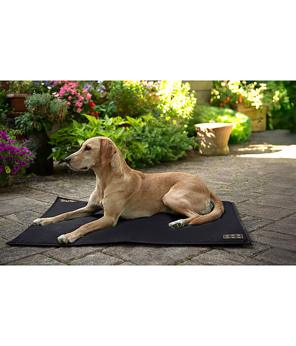 Coperta termica per cani Ceramic Rehab