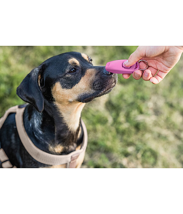 Fischietto per cani con clicker