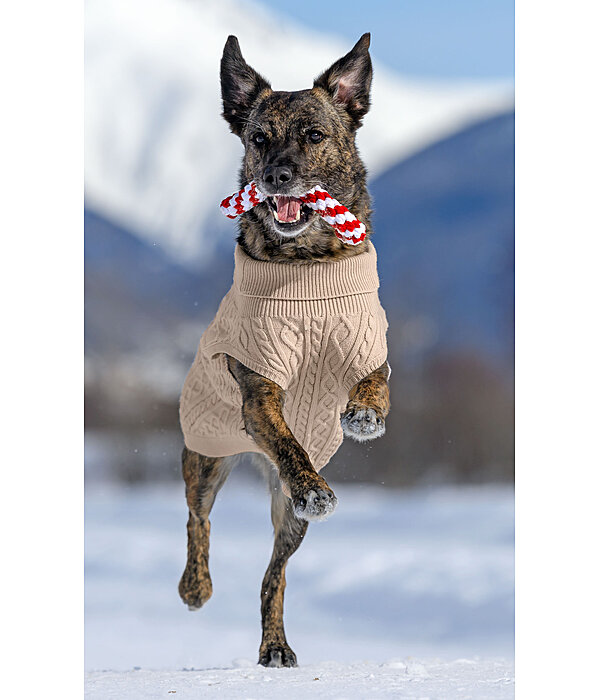 Corda giocattolo per cani Candy Cane