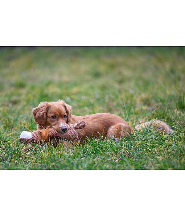 Leone peluche per cani Lio