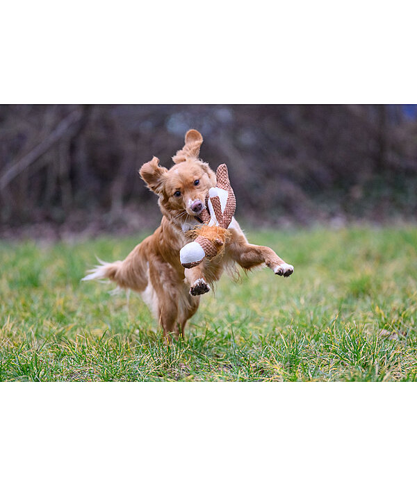 Leone peluche per cani Lio