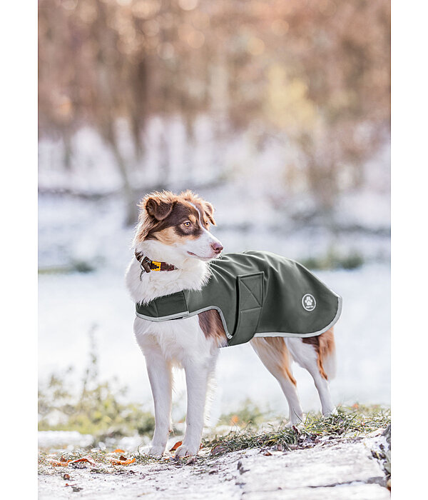 Softshell Walker per cani Athlete, 0 g