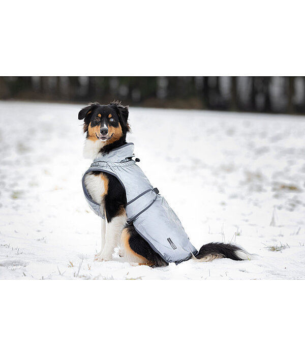 Cappotto per cani riflettente Safety First, 0 gr