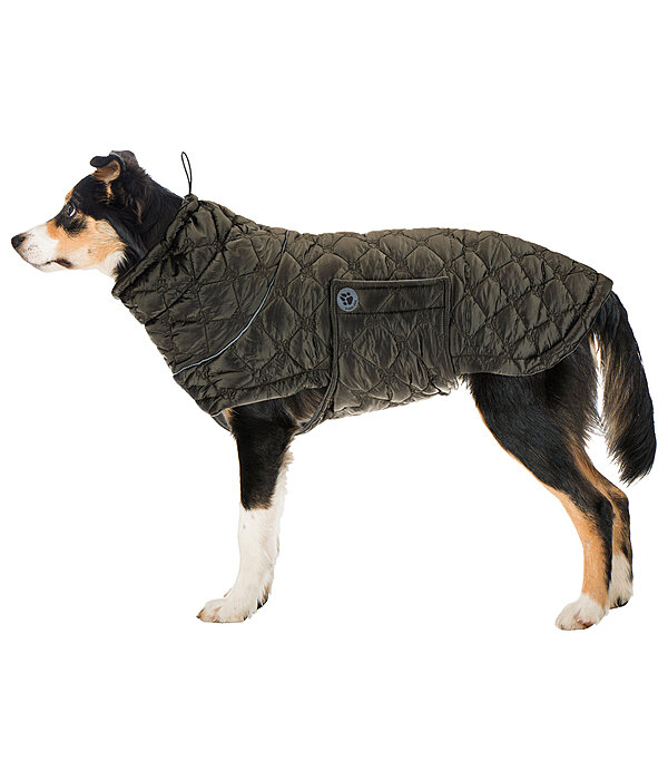 Cappotto trapuntato per cani Lightweight Cliff con pile, 200 g