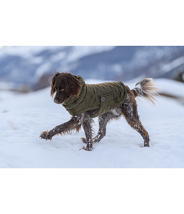 Cappotto trapuntato per cani Lightweight Cliff con pile, 200 g