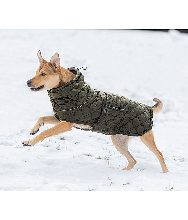 Cappotto trapuntato per cani Lightweight Cliff con pile, 200 g