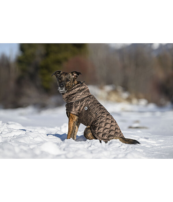 Cappotto trapuntato per cani Lightweight Cliff con pile, 200 g