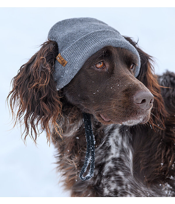 Beanie per cani Evin