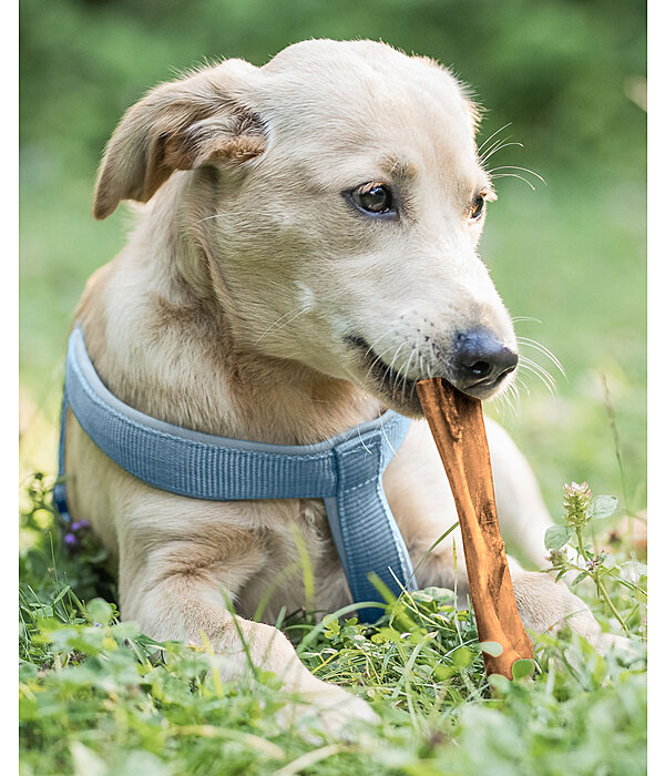 Pelle di nuca di bovino per cani