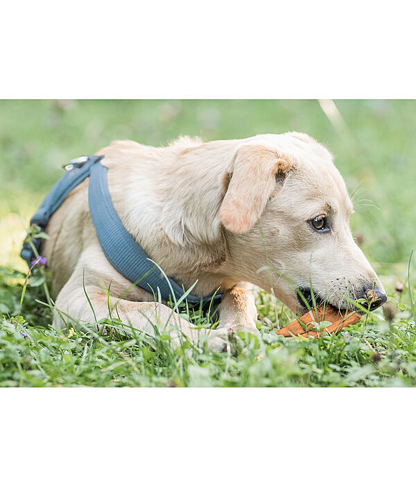 Pelle di nuca di bovino per cani