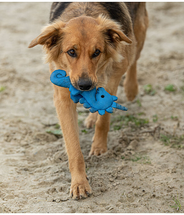 Gioco acquatico per cani Aqua Unicorn