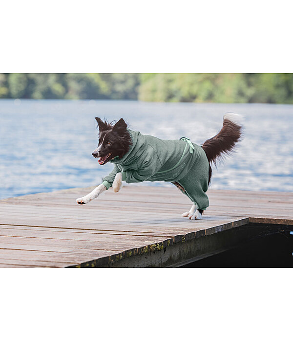 Accappatoio per cani Allover Dry