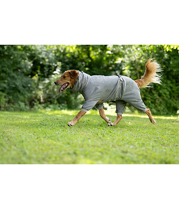 Accappatoio per cani Allover Dry