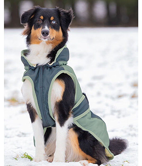 Cappotto invernale per cani Glacier Bay con interno in pile, 100 gr