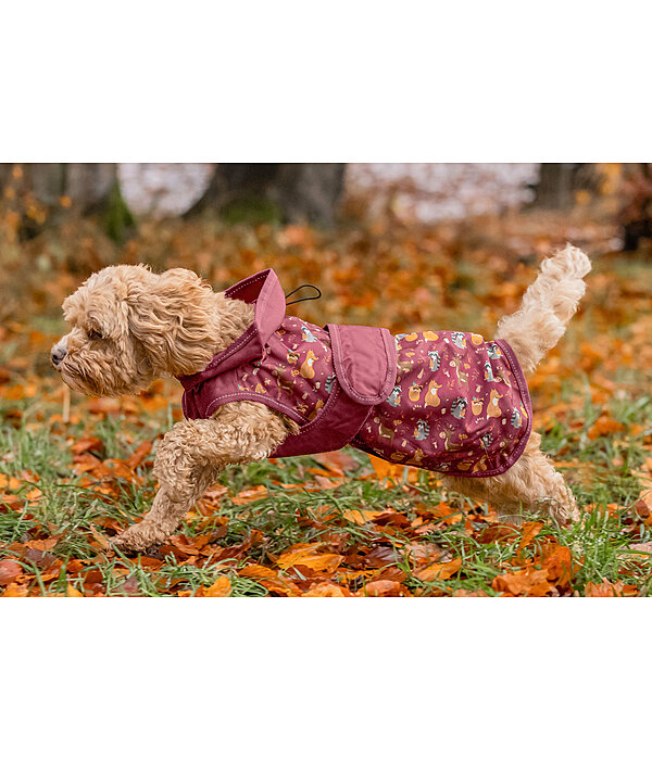Impermeabile per cani Pumpkin Spice, 0 g