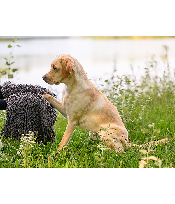 Asciugamano multifunzione per cani Soulmate