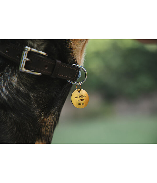 Charm Travel Buddy