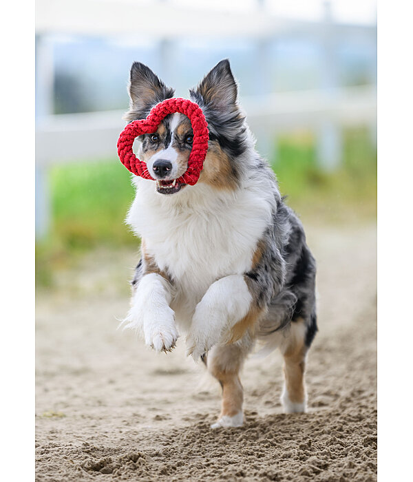 Giocattolo in corda per cani Valentine