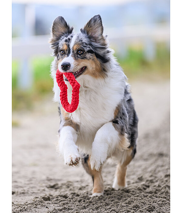 Giocattolo in corda per cani Valentine