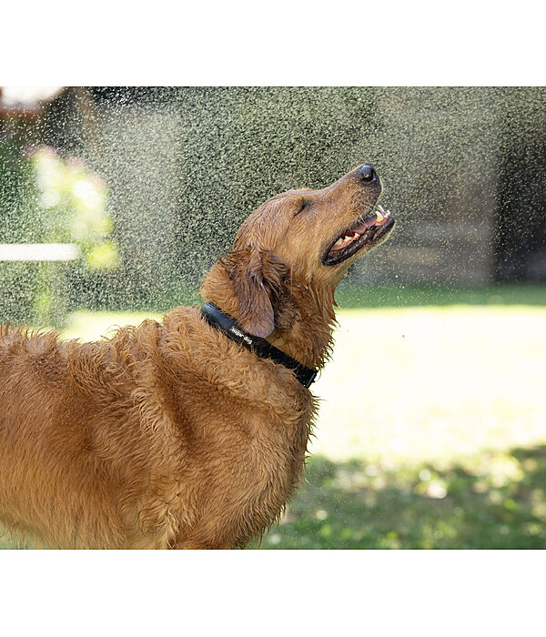 Collare waterproof Mable