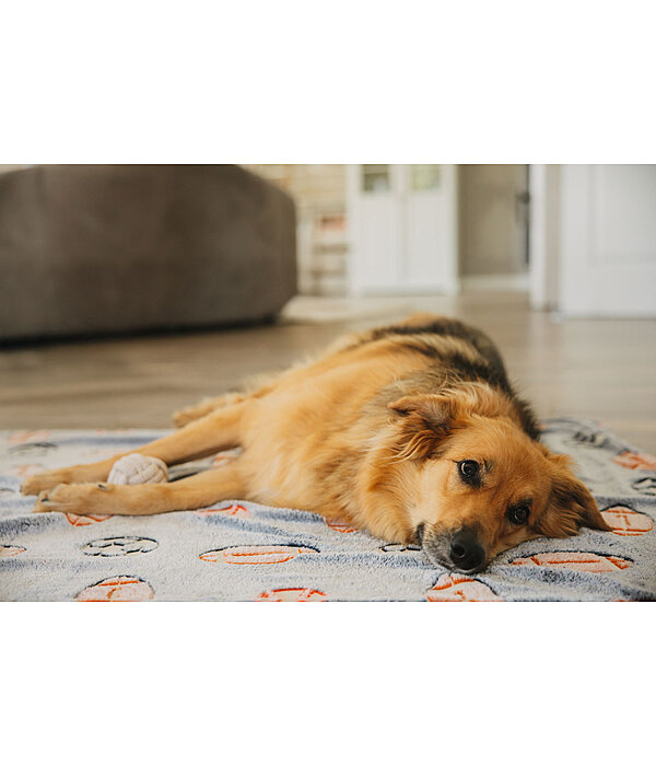 Coperta per cani Glow in the Dark