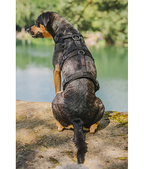 Pettorina antipanico per cani Irmi