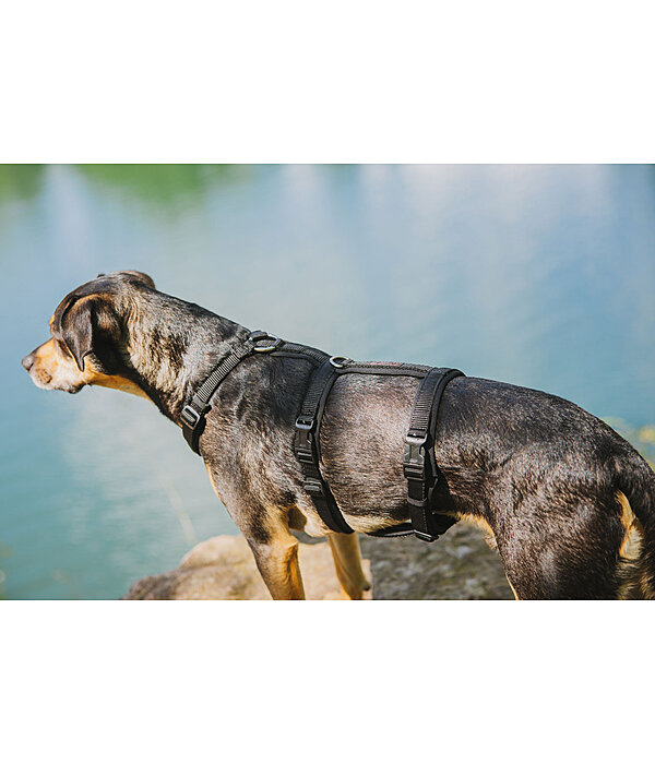 Pettorina antipanico per cani Irmi