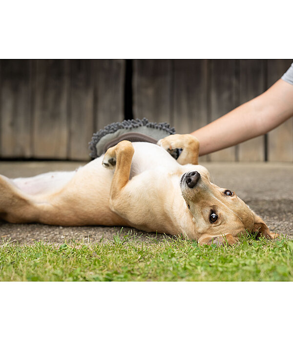 Guanto da grooming per cani Cosma