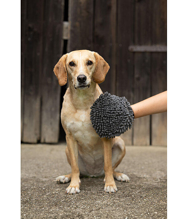 Guanto da grooming per cani Cosma