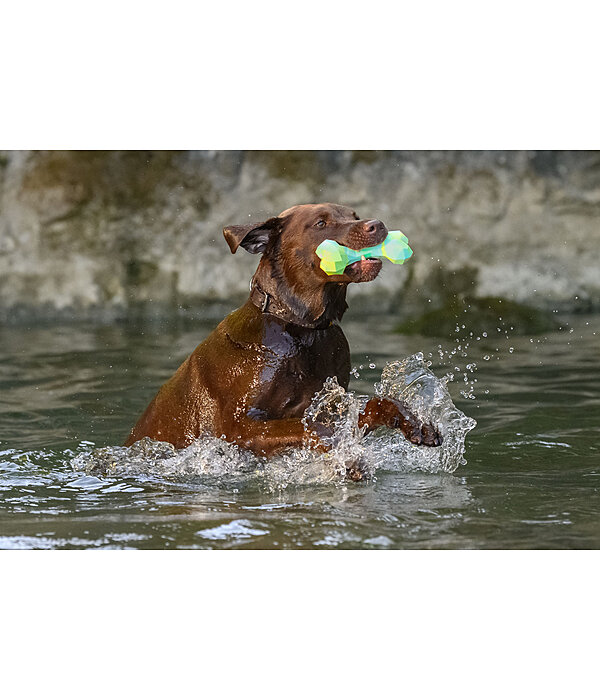 Gioco acquatico per cani Marble Bone