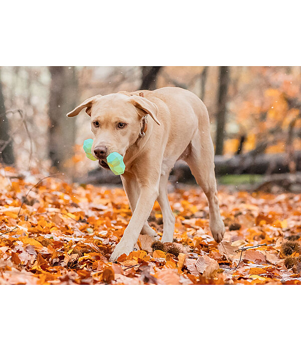 Gioco acquatico per cani Marble Bone