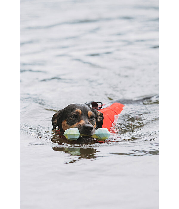 Gioco acquatico per cani Marble Bone