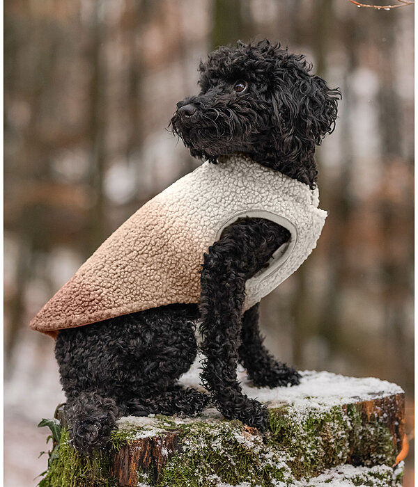 Cappotto reversibile in softshell per cani Willa, 80 g