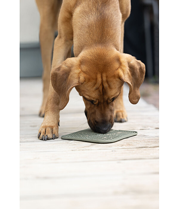 Tappetino da leccare per cani Classic Line