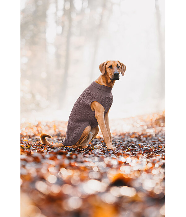 Maglione per cani Maisie