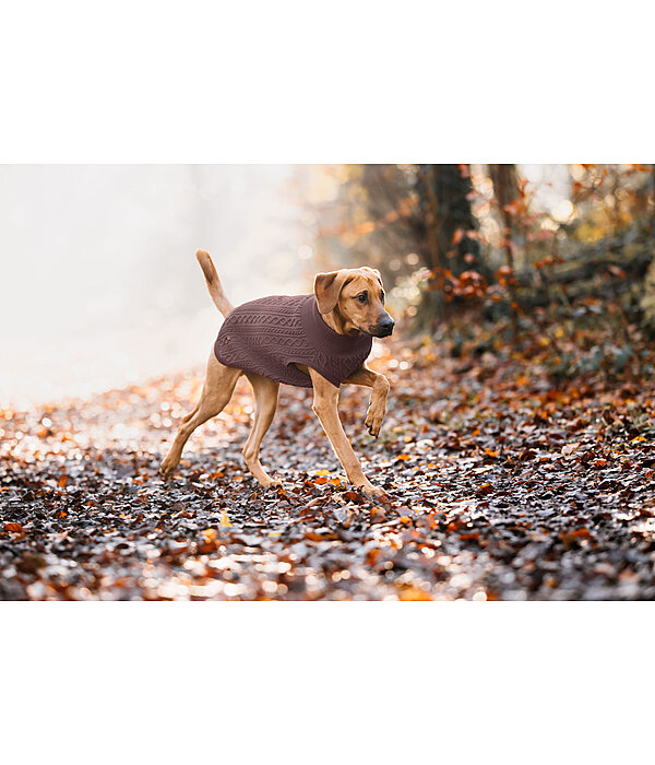 Maglione per cani Maisie