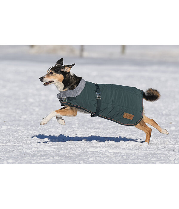 Cappotto invernale per cani Gizmo con pelliccia, 200 g