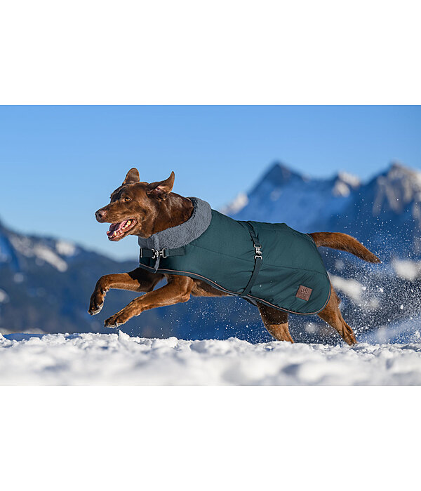 Cappotto invernale per cani Gizmo con pelliccia, 200 g