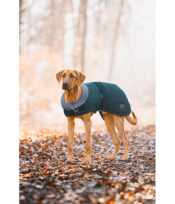 Cappotto invernale per cani Gizmo con pelliccia, 200 g